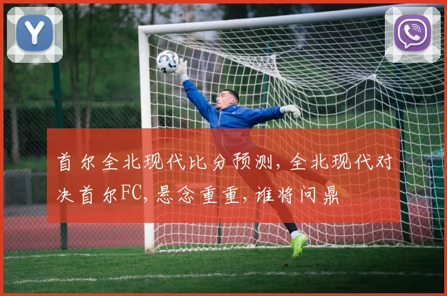 首尔全北现代比分预测,全北现代对决首尔FC,悬念重重,谁将问鼎