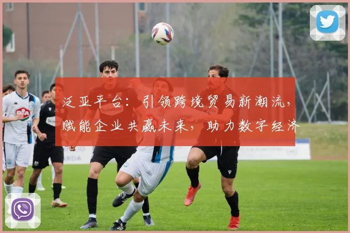 泛亚平台：引领跨境贸易新潮流，赋能企业共赢未来，助力数字经济发展