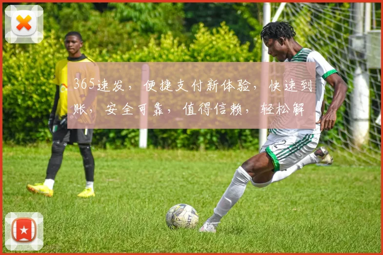 365速发，便捷支付新体验，快速到账，安全可靠，值得信赖，轻松解决资金需求，首选选择